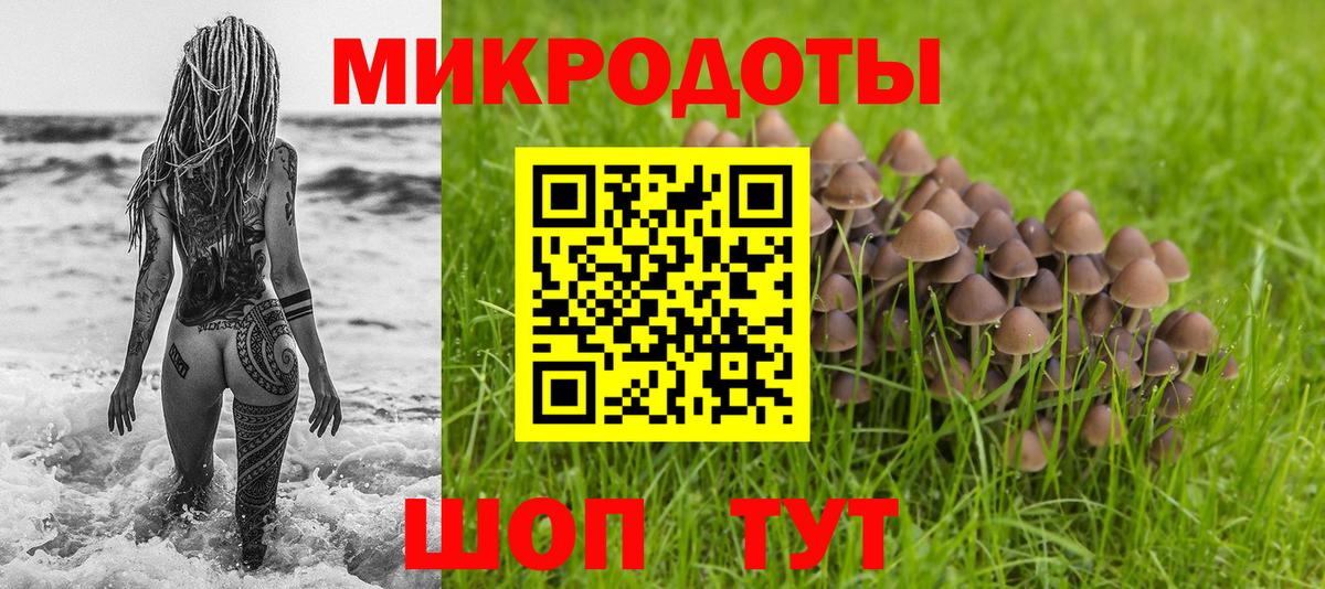 Псилоцибиновые грибы Psilocybe Ногинск