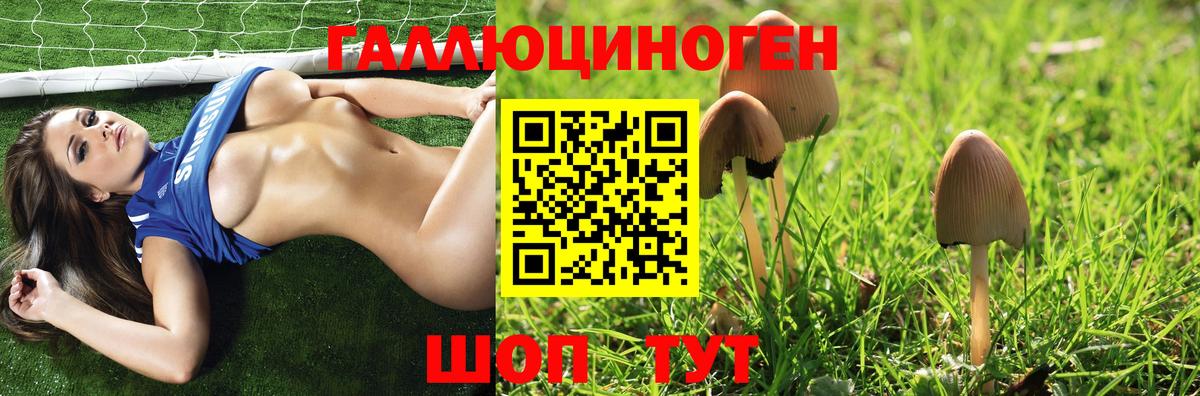 Псилоцибиновые грибы MAGIC MUSHROOMS  Вход с VPN  Галлюциногенные грибы ЛСД  Ногинск 
